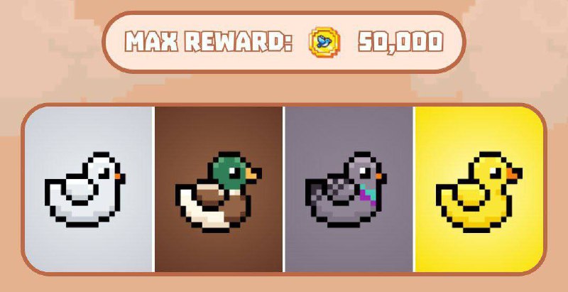 Bird combo 18.04