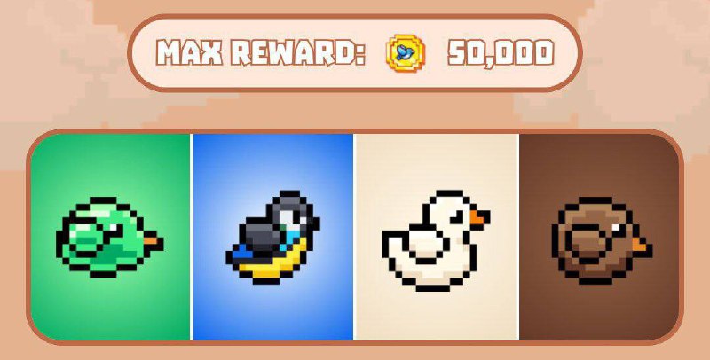 Bird combo 19.04